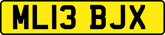 ML13BJX