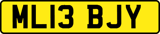ML13BJY