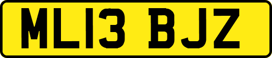 ML13BJZ