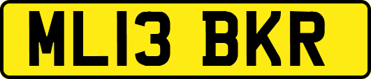 ML13BKR