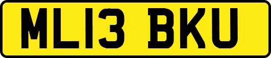 ML13BKU