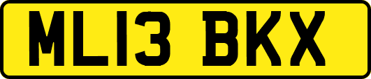 ML13BKX