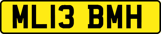 ML13BMH
