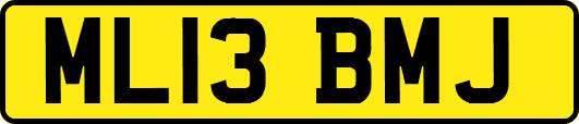 ML13BMJ