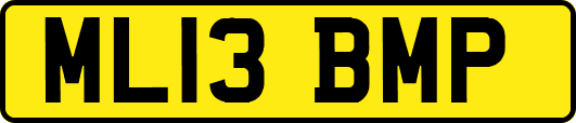 ML13BMP
