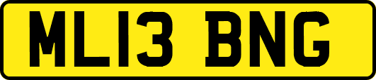 ML13BNG