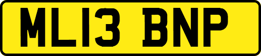 ML13BNP