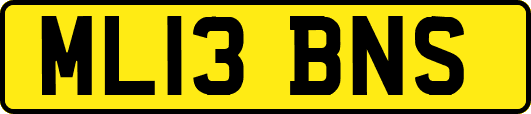 ML13BNS