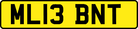 ML13BNT