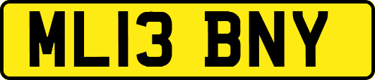 ML13BNY