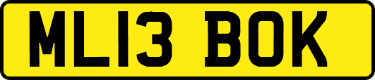 ML13BOK