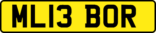 ML13BOR