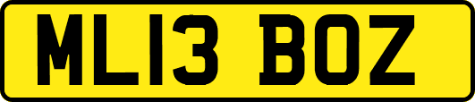 ML13BOZ