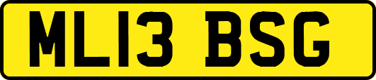 ML13BSG