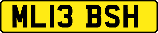 ML13BSH