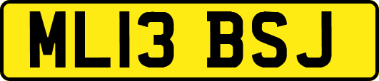 ML13BSJ