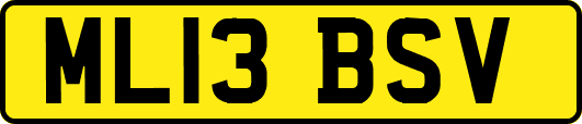ML13BSV