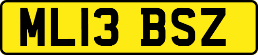 ML13BSZ