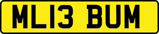 ML13BUM