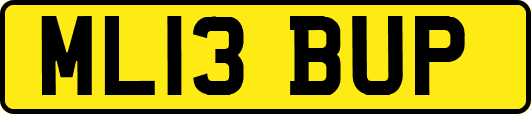 ML13BUP