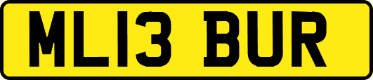 ML13BUR