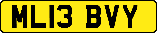 ML13BVY