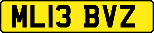 ML13BVZ