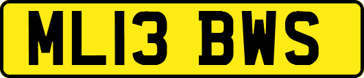 ML13BWS