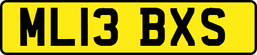 ML13BXS