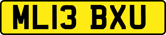 ML13BXU