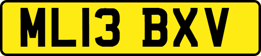 ML13BXV
