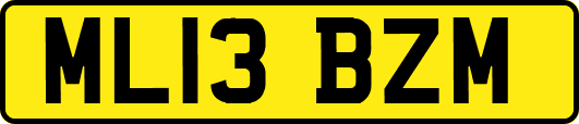ML13BZM