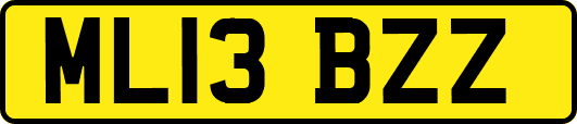 ML13BZZ