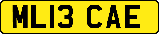 ML13CAE