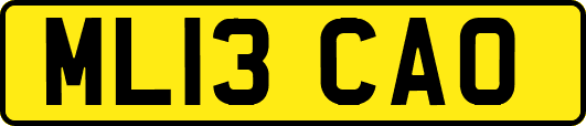 ML13CAO