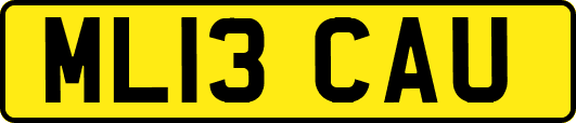 ML13CAU