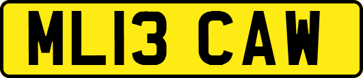 ML13CAW