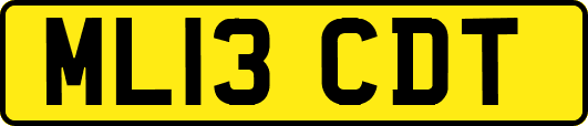 ML13CDT