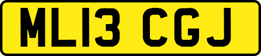 ML13CGJ