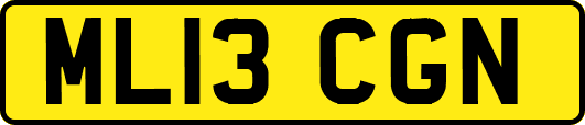 ML13CGN