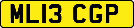 ML13CGP
