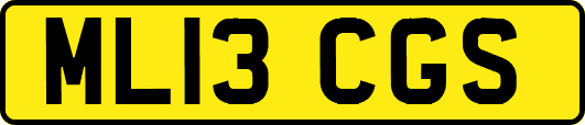 ML13CGS