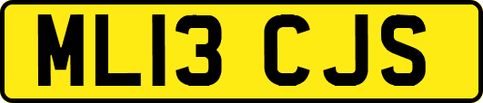 ML13CJS