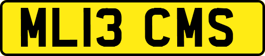 ML13CMS