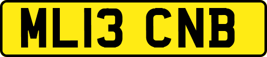 ML13CNB