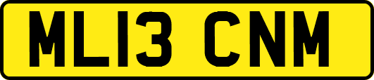 ML13CNM