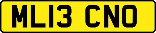 ML13CNO