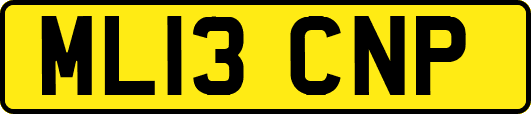 ML13CNP