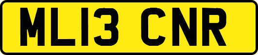 ML13CNR