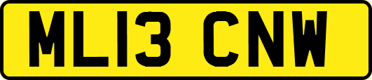 ML13CNW